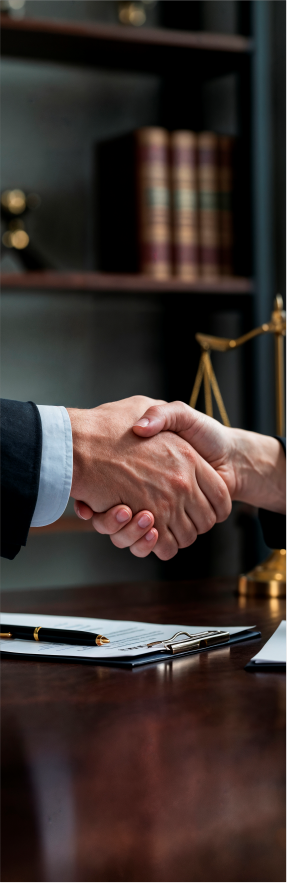 Professional Legal Representation