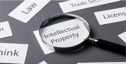 Intellectual Property Law